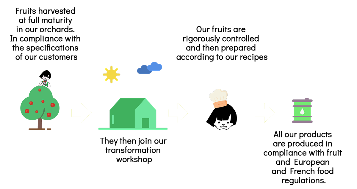 Processus-fabrications-purees-en